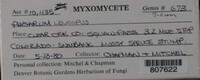 Image Associated With the Occurence